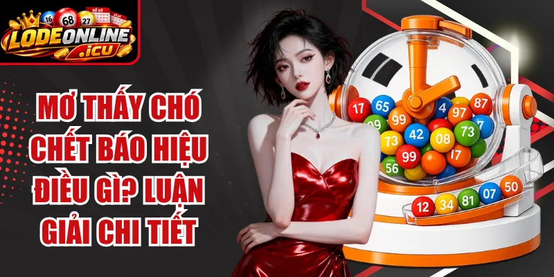 Mơ Thấy Chó Chết Báo Hiệu Điều Gì? Luận Giải Chi Tiết