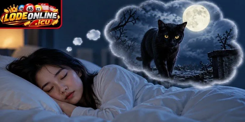 Đón nhận điềm tốt khi ngủ mơ thấy mèo đen